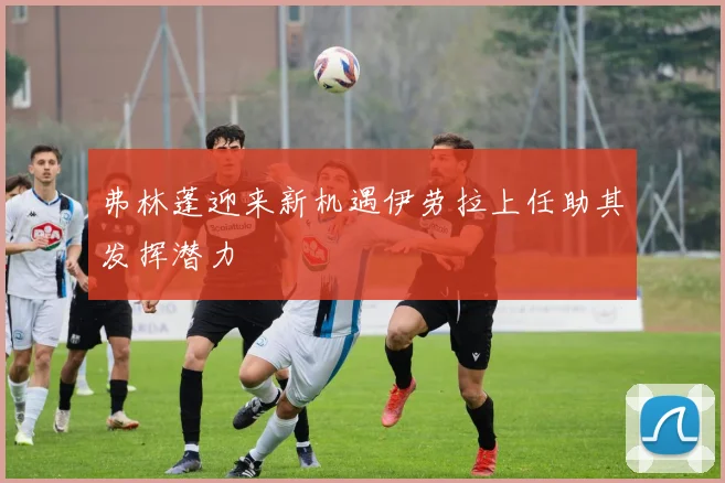 弗林蓬迎来新机遇伊劳拉上任助其发挥潜力